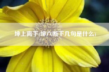 种植业五行属什么 上离下坤